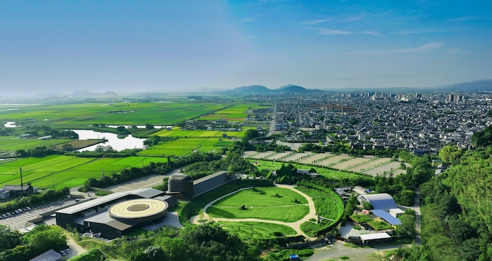 写真：たねや・ クラブハリエ