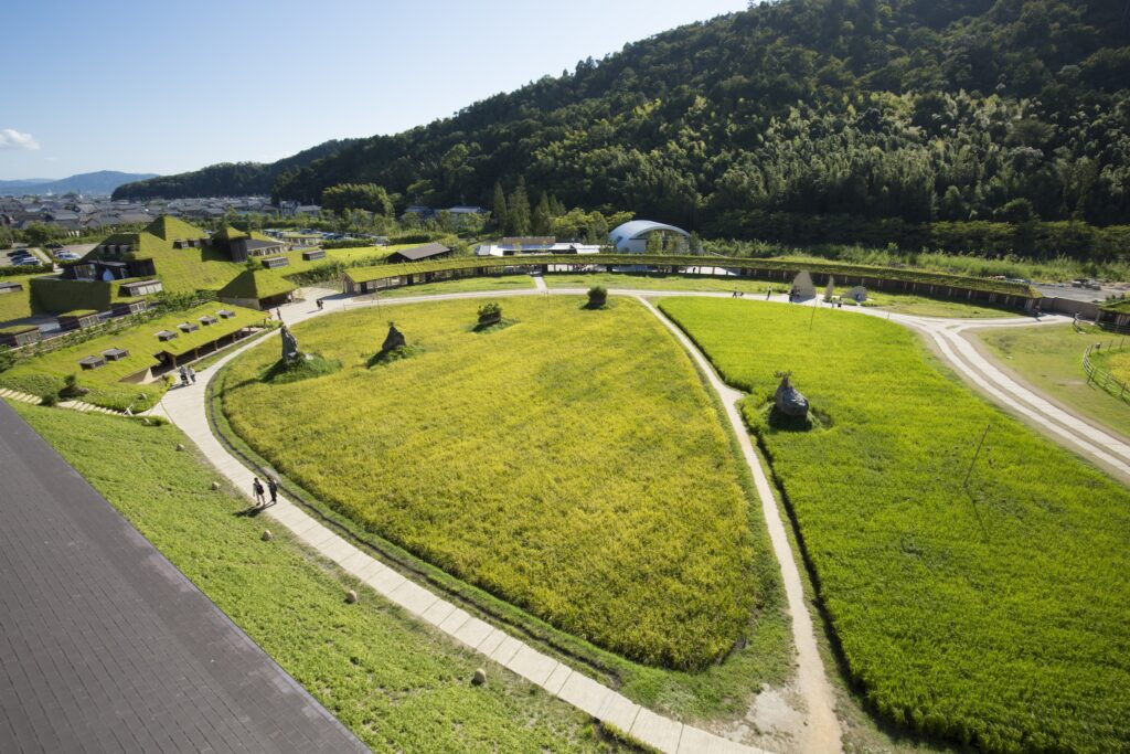 写真：たねや・ クラブハリエ