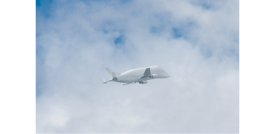 トゥールーズの空では、ほかでは目にできない珍しい航空機を見ることができる。「ベルーガ」の愛称で呼ばれる貨物機は、エアバスが欧州各地の工場から部品を空輸するために使用する専用機。可愛らしい見た目とは裏腹に、大型の機体部品も運べる抜群の輸送力を持つ